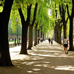 A serene and vibrant urban park in a classic Italian city, akin to Rome's Villa Borghese, bathed in soft, natural light. Majestic, mature trees (such as *Platanus*) form a lush canopy, their leaves filtering sunlight to create dappled shadows on pathways where people are leisurely strolling, children are playing, and individuals are enjoying moments of quiet contemplation. The atmosphere is one of profound well-being and clean air, showcasing the park as the "lungs" of the city, seamlessly blending historical urban architecture with a thriving, accessible natural environment.